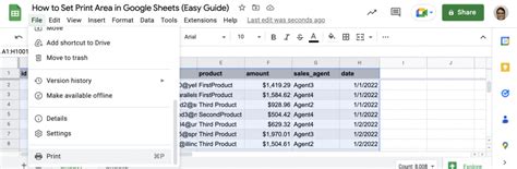 How do you Set the Print Area in Google Sheets? A Guide with Multiple Perspectives